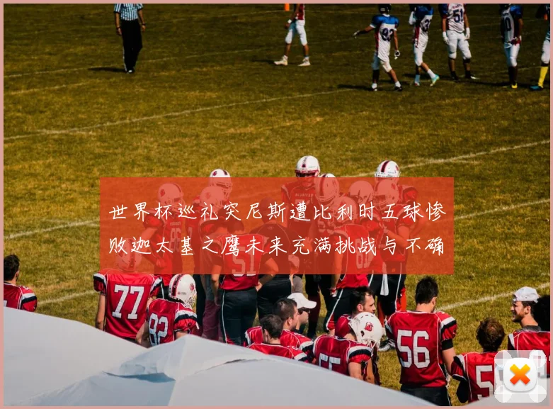 世界杯巡礼突尼斯遭比利时五球惨败迦太基之鹰未来充满挑战与不确定性